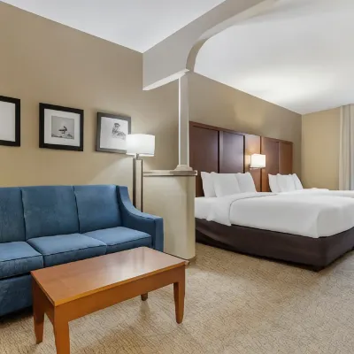 Comfort Suites Houston NW - Vintage Park Hotels near Lone Star College-University Park