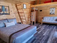 Hoot Owl Cabins -Incredible Lakefront Cabin PLUS a 2nd Tiny Home