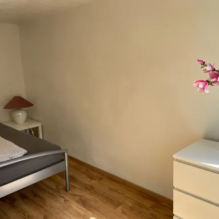 Billafingen vacation apartment away from tourism not far from Lake Constance Hotels in Owingen