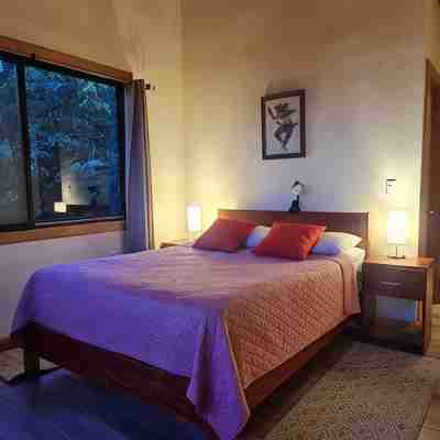 Your private home in the Monteverde forest! Close to parks and downtown Rooms
