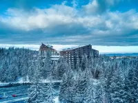 Alpin Resort Hotel Hotels near Ruia
