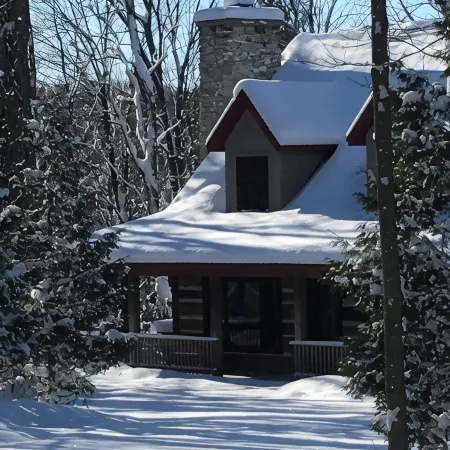 Cabin With Modern Kitchen, Fireplace, Porch! 20% weekly discount Feb-Apr!