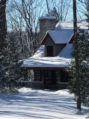 Cabin With Modern Kitchen, Fireplace, Porch! 20% weekly discount Feb-Apr! - Chalets