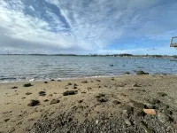 Bayfront Two Bedroom OVER the Water! Beach, Balcony & Pet friendly - 3-stjärniga