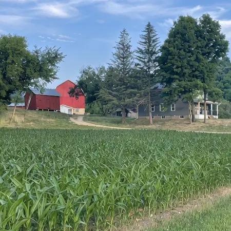 Newly remodeled Farmhouse with Country Charm!Sleeps 10 people comfortably