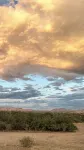 Ranchito Paraiso: Artsy Farm Stay in the Desert - 2-Star