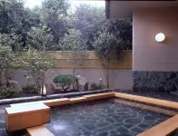 白巖酒店 - 溫泉