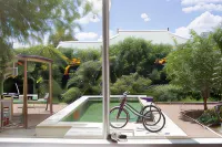 Prince Albert Country Stay - Wifi
