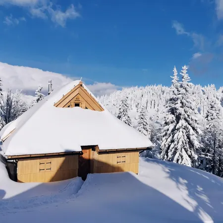 Koča Žafran - Velika Planina Ξενοδοχεία στην πόλη Kamnik