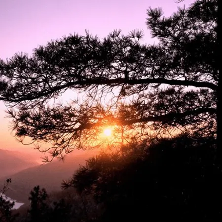 Tangwang Xing'an Stone Forest Hotel