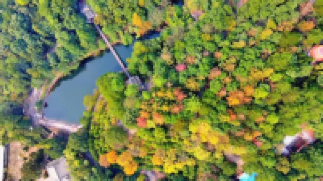 รีสอร์ทการ์เดนคอร์ท โรงแรม