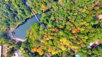 Homeinn Plus Hotel (Shaoshan Scenic Area)