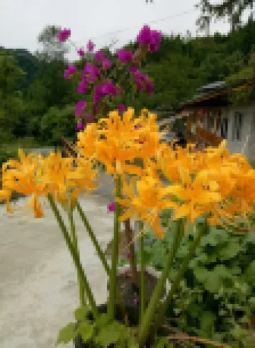 Yujing Shanshuiyuan Inn