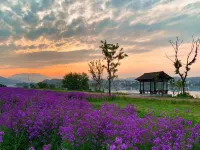 Jiande Lemon Xiaoyuan Homestay Các khách sạn ở Kiến Đức