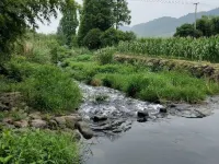 Liyang Bamboo Sea Yun Inn