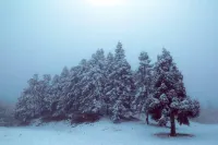 7Days Inn Chain Hotel (Pengshui County Penghu Garden)