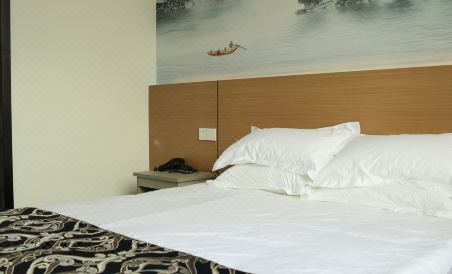 Ping nan jin cheng bin guan - Housity