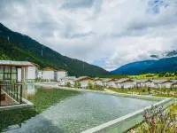 Artel Linzhi Poly