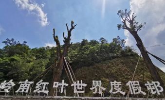 Xinfeng Lingnan maple leaves World