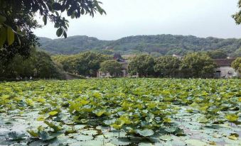 Putuo mountain longwan xuanyuan pavilion farmhouse