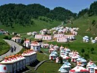 Longxian Jinhu Grassland Homestay