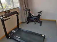 GreenTree Hotel (Yangxin Lianhuahu) - Gym