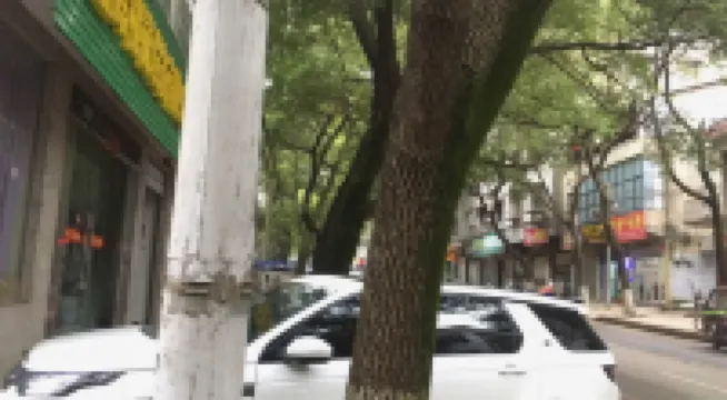 Cayman Hotel California