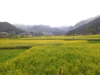 Guangnan Countryside Light Farmhouse Homestay