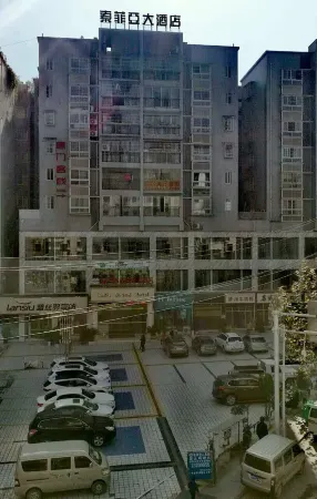 Sofie Grand Hotel Отели в г. Вучуань