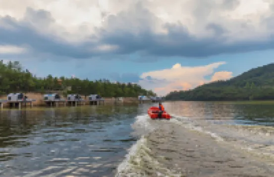 五朵山蓼花汀民宿