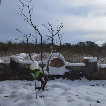 Taihang Home Searching Mengyi Station Kangyang Homestay