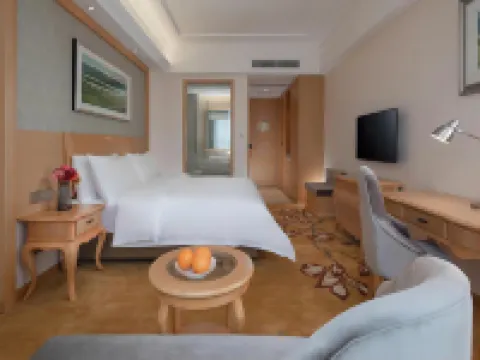 Vienna Hotel (Langzhong High-speed Railway Station)