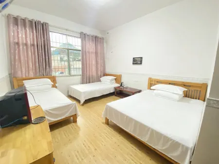 Ziyun County Dingxing Inn