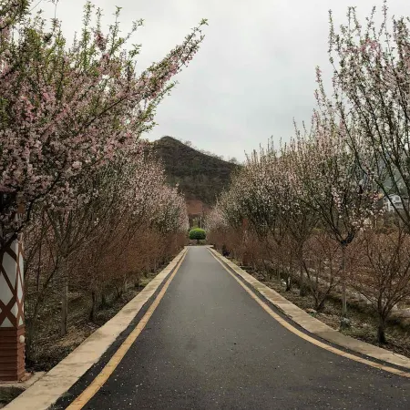 Xinglong Express Hotel
