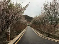 Xinglong Express Hotel Hotels in Yuqing