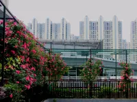 Rose Art Hotel (Ningbo Beilun Yintai City Store) Hotels in Beilun Hafen
