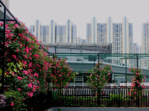 Rose Art Hotel (Ningbo Beilun Yintai City Store)