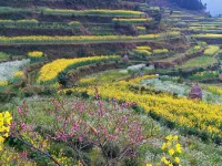 Jiangling Scenery Inn Hotels in Jiangling