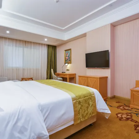 Vienna Hotel (Baoying Times Square)