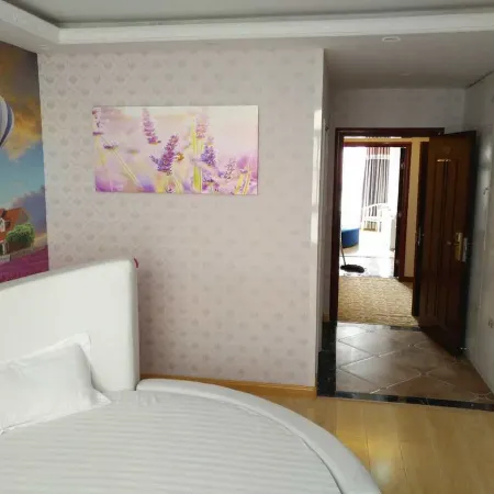 Daming Longjing Business Hotel Отели в г. Дамин