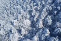 九江紅楓賓館（火車站店）