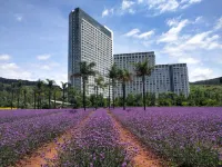 Fuxian Lake Mountain Lake Hotel Hotel a 