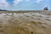 Dongxing Shuyue Seaview Business Hotel (Wanwei Jintan Branch)