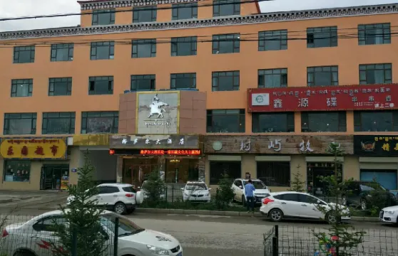 瑪沁格薩爾酒店