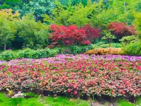 Lushan Xiyun Tingyuan Homestay