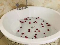 Puyu Shanju Hotel (Yichun Yuanshan Park Branch) - Esports