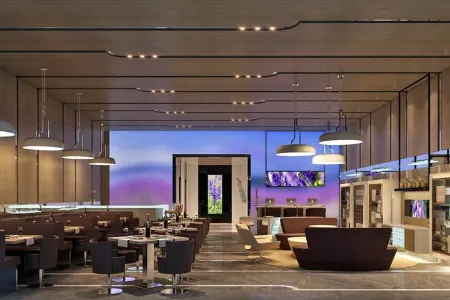 Squirrel Smart Hotel