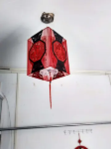 Pingyao Xinxin Youth Hostel