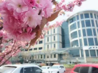 โรงแรมชิงเต่า บลู ฮอไรซอน หลี่ชาง
