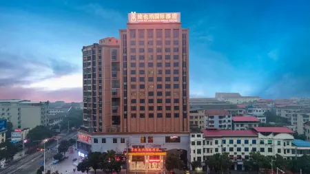 Vienna International Hotel Отели в г. Аньжень